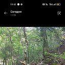 ���� �����, ������������, 53 ���� - ��������� 8 ������ 2023 � ������ ���� ����������