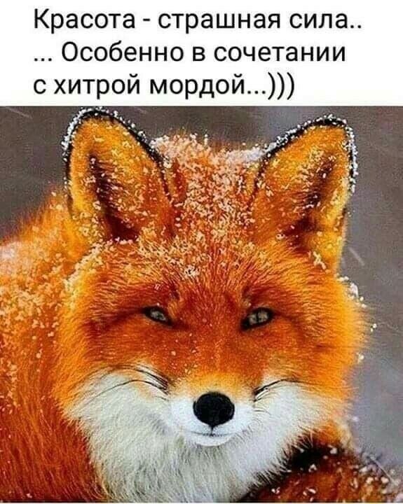 ОБО ВСЕМ - 24 октября 2025 в 23:10