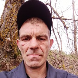 , 37, 