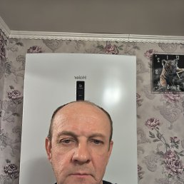 ������, 49 ���, ������