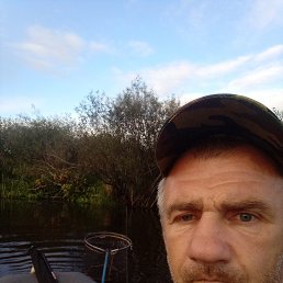 , 44, 