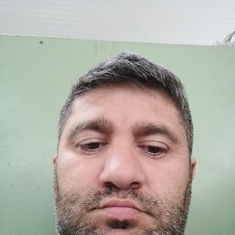 , 37 , 
