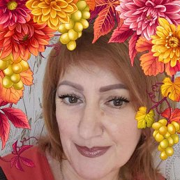 , 53, 