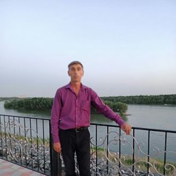  , 51, 