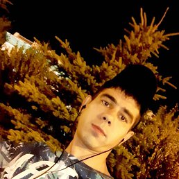 ���� �����, ������, 33 ���� - ��������� 4 ������ 2026