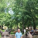 ���� ���������, ������-��-����, 51 ��� - ��������� 29 ������� 2025