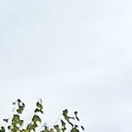 ��������, ������, 63 ����