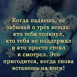 ���� ���������, ������, 46 ��� - ��������� 31 ������� 2023