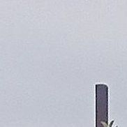 �������, 64 ����, ������