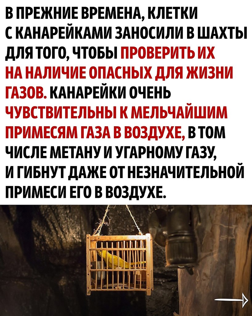     - 2