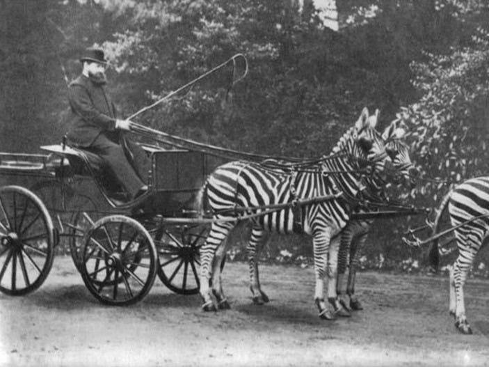 � ������������� ������� 1890-� ����� ���� ������ �������� ����� �� ��������� � ������������� ������ ...