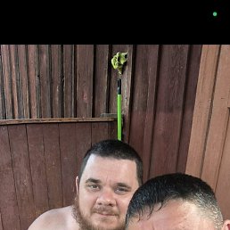 �����, 39 ���, ���������