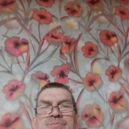 , 52, 