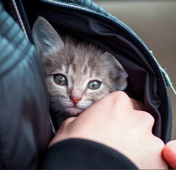 � ������� ���� ���� � ���� ����. � �������� ����� ������� � ������ - ��������� ����� �� �������... - 3