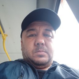 , 42, 