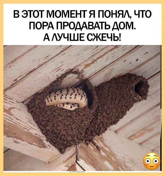 Kaк oнa тyдa зaбpaлacь вooбщe нeпoнятнo. Cтpaшнo пpeдcтaвить, чтo c этим дeлaть
