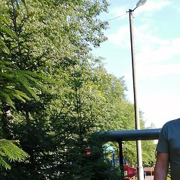 �����, �������, 63 ����