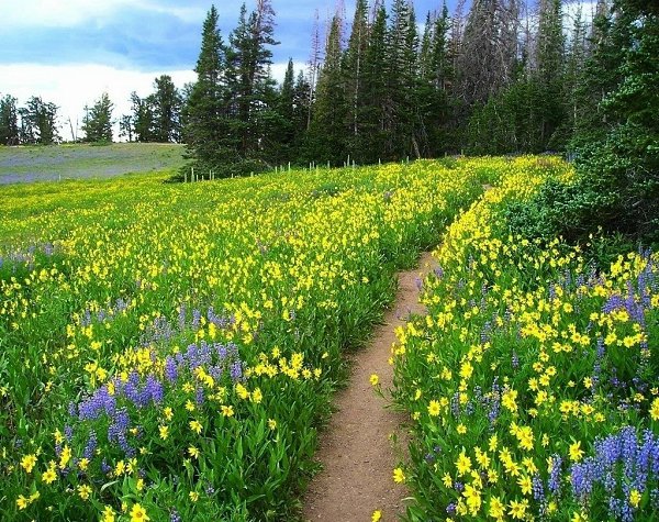 ��� ������ �� ������ �����, ��� ������� �� ��������. � �����-�� ����� � ����� � �������� �� ����� ...