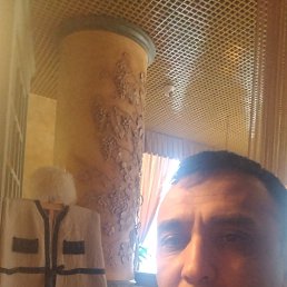 , 41,  