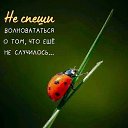 ���� ������, ��������� - ��������� 18 ���� 2026 � ������ ���� ����������