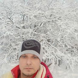 ���� �������, �����, 44 ���� - ��������� 1 ����� 2024