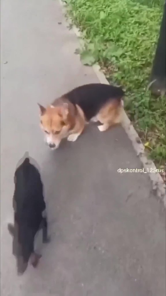 ��� ����� � ����������� ������ �����.. - 2