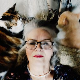 �������, ������, 72 ����