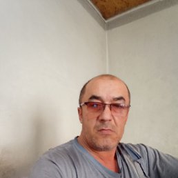 , 53, 