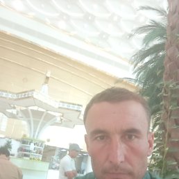 , 30, 