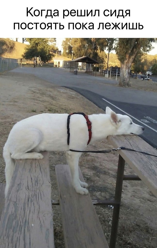 ����� �� �� ������ � �����?