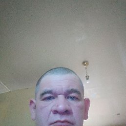 , 37, 