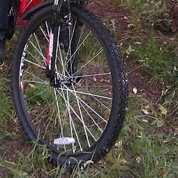 ������, ������