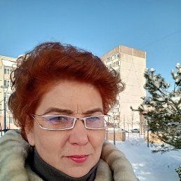 ���� ���������, ������, 53 ���� - ��������� 1 ������ 2026