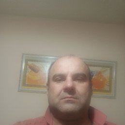 , 43 , 