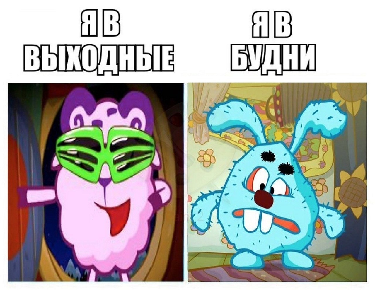 ? ,  ! - 7  2025  20:47
