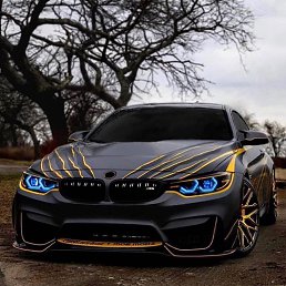 ���� ����, ������, 25 ��� - ��������� 15 ������� 2025
