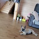 ���� ������, �������, 68 ��� - ��������� 29 ���� 2025 � ������ ������ ��������