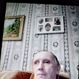 ���� ( �������)���������., �����-���������, 54 ���� - ��������� 14 ����� 2026