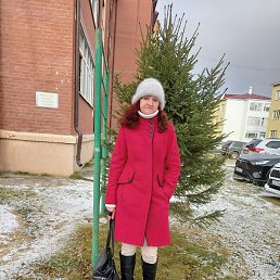 �������, ������ ��������, 61 ���