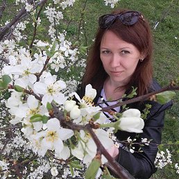 , 37, 