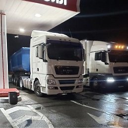 ����, �������, 85 ���