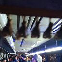 ���� ����, ������, 52 ���� - ��������� 1 ������� 2024 � ������ ���� ����������