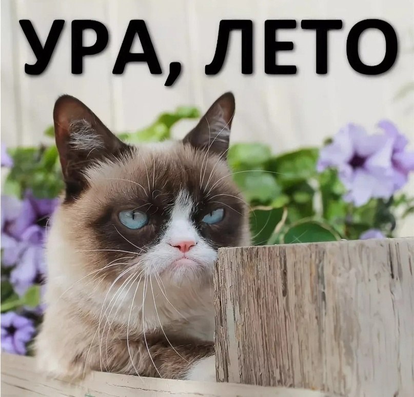   - 1  2025  10:05