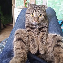 ���� ������, ������, 44 ���� - ��������� 2 ������ 2026