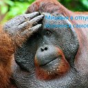 ���� ������, ��������, 49 ��� - ��������� 29 ������ 2026 � ������ ���� ����������