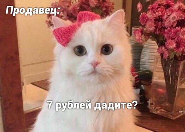    - 8  2024  16:39