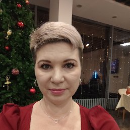 ����, 41 ���, ����