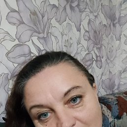 �������, �����, 51 ���