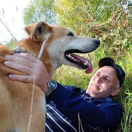 ����, 49 ���, �����