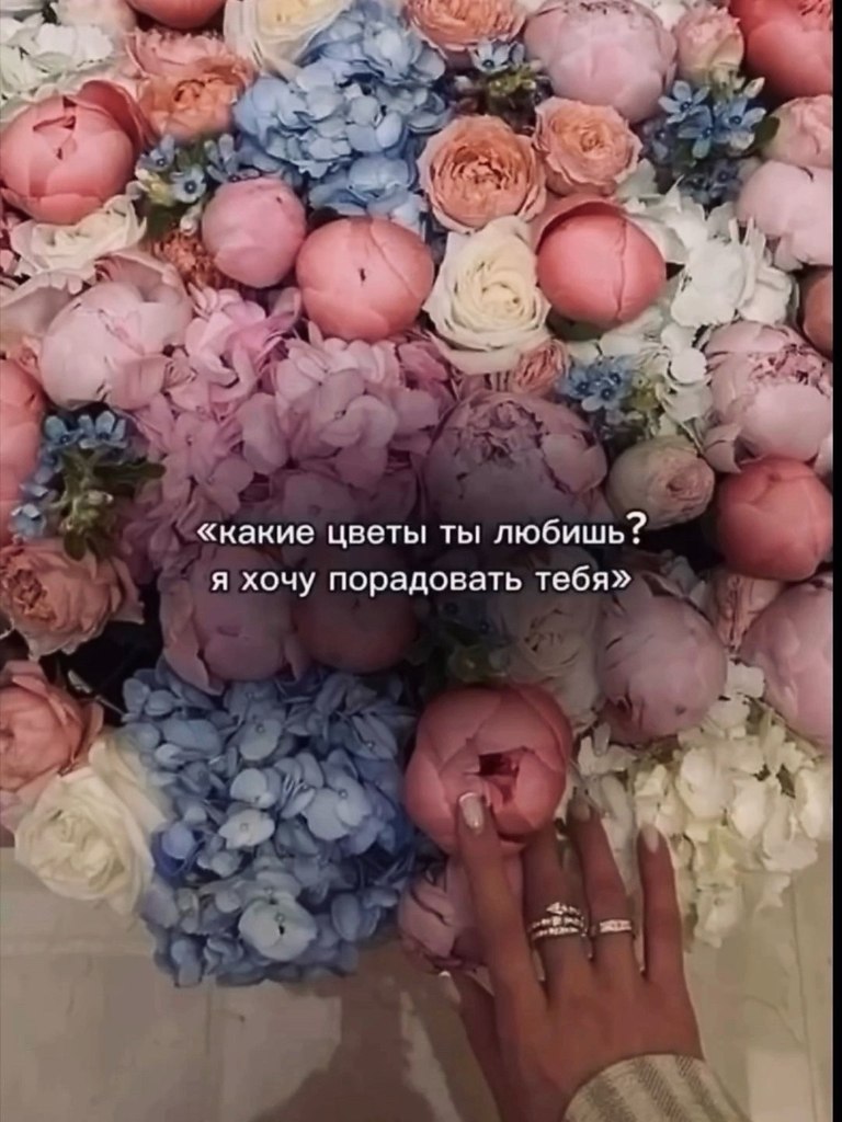 ������. - 27 ������ 2026 � 22:17 - 2